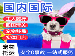鄂州花湖机场快运国际宠物托运 【国